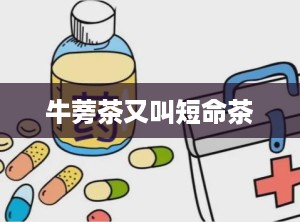 牛蒡茶又叫短命茶