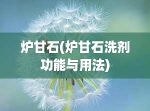 炉甘石(炉甘石洗剂功能与用法)