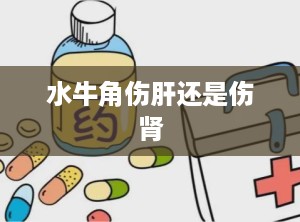 水牛角伤肝还是伤肾