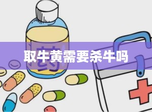 取牛黄需要杀牛吗