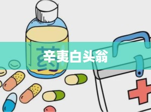 辛夷白头翁