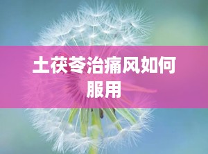 土茯苓治痛风如何服用