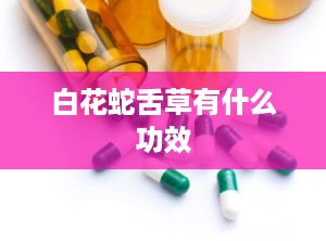 白花蛇舌草有什么功效