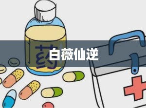 白薇仙逆