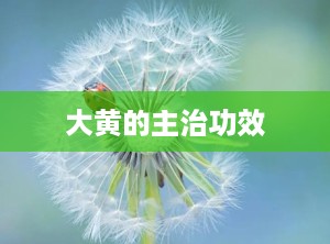 大黄的主治功效