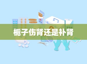 栀子伤肾还是补肾