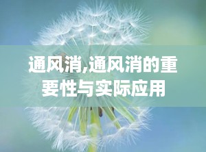 通风消,通风消的重要性与实际应用