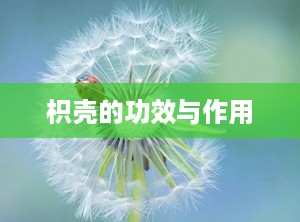 枳壳的功效与作用