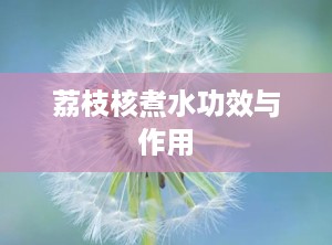 荔枝核煮水功效与作用