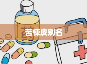 苦楝皮别名