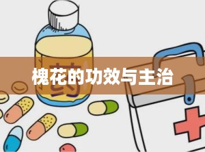 槐花的功效与主治