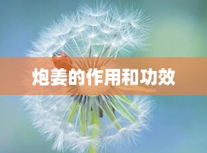 炮姜的作用和功效