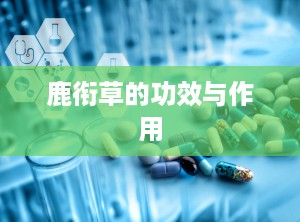 鹿衔草的功效与作用