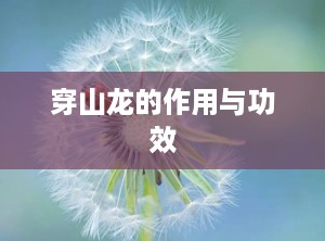 穿山龙的作用与功效