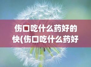 伤口吃什么药好的快(伤口吃什么药好的快又愈合快)