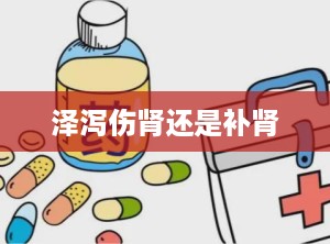 泽泻伤肾还是补肾