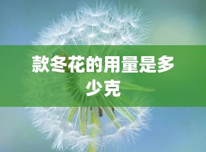 款冬花的用量是多少克