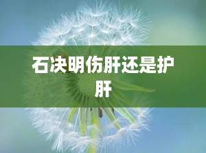 石决明伤肝还是护肝