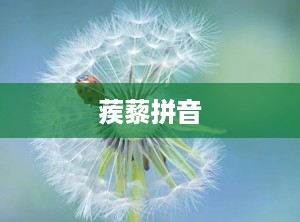 蒺藜拼音