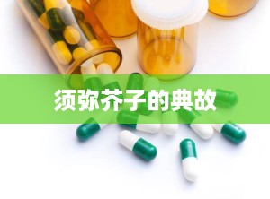 须弥芥子的典故