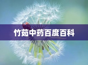 竹茹中药百度百科