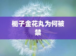 栀子金花丸为何被禁