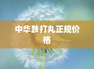 中华跌打丸正规价格