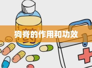 狗脊的作用和功效