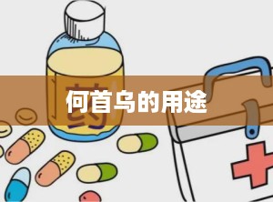 何首乌的用途