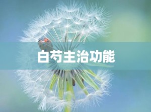 白芍主治功能