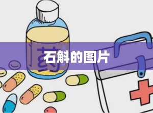 石斛的图片