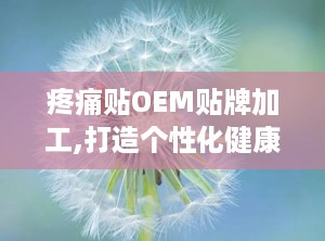 疼痛贴OEM贴牌加工,打造个性化健康解决方案