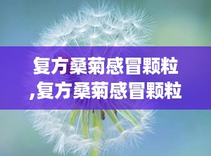 复方桑菊感冒颗粒,复方桑菊感冒颗粒——风热感冒的克星