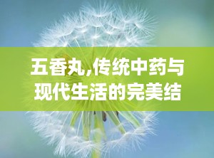 五香丸,传统中药与现代生活的完美结合