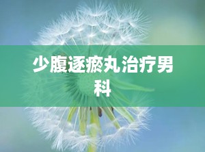 少腹逐瘀丸治疗男科