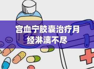 宫血宁胶囊治疗月经淋漓不尽