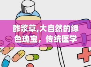 酢浆草,大自然的绿色瑰宝，传统医学的瑰宝