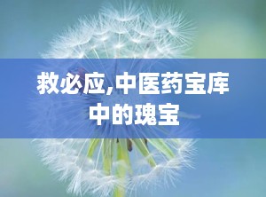 救必应,中医药宝库中的瑰宝