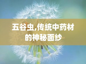 五谷虫,传统中药材的神秘面纱