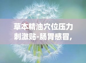 草本精油穴位压力刺激贴-肠胃感冒,草本精油穴位压力刺激贴——肠胃感冒的天然疗法