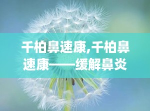 千柏鼻速康,千柏鼻速康——缓解鼻炎症状的特效中成药