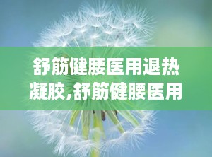 舒筋健腰医用退热凝胶,舒筋健腰医用退热凝胶——您的健康守护者