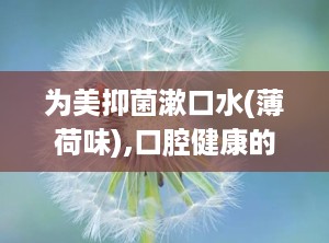 为美抑菌漱口水(薄荷味),口腔健康的贴心守护者