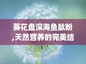 葵花盘深海鱼肽粉,天然营养的完美结合