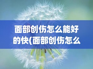 面部创伤怎么能好的快(面部创伤怎么快速愈合)