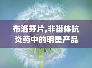 布洛芬片,非甾体抗炎药中的明星产品