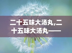 二十五味大汤丸,二十五味大汤丸——传统中医瑰宝的现代解读