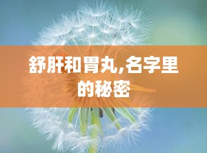 舒肝和胃丸,名字里的秘密