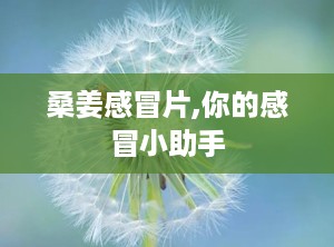 桑姜感冒片,你的感冒小助手