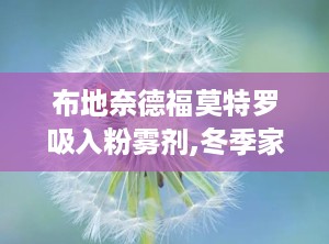 布地奈德福莫特罗吸入粉雾剂,冬季家庭常用药，布地奈德福莫特罗来帮忙